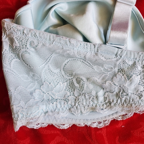 42DDD - Addition-Elle Blue Underwire Bra w/ Lace Mesh - Convertible Strap - EUC - Picture 9 of 10